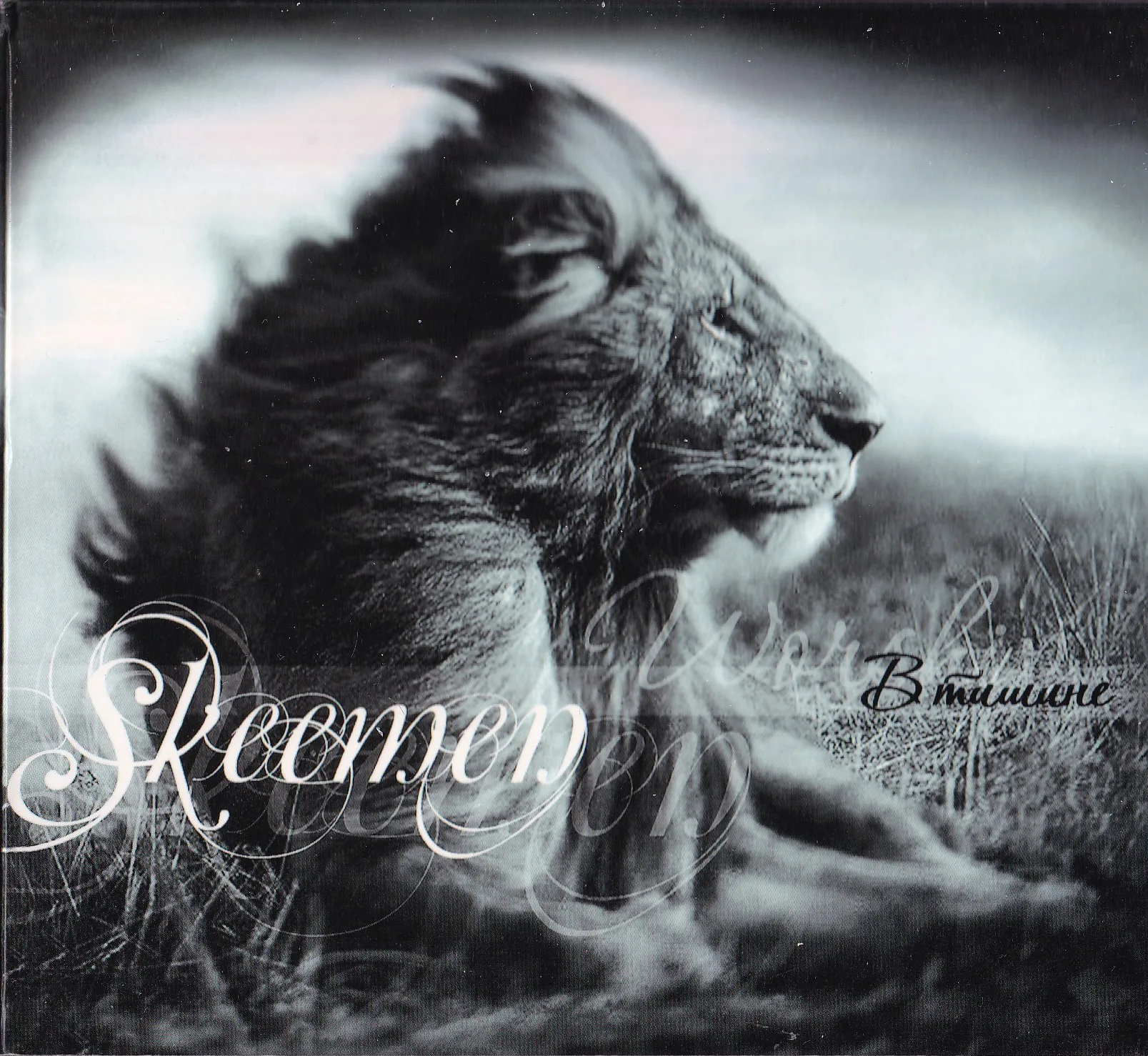 Skeemen – В тишине (2010)