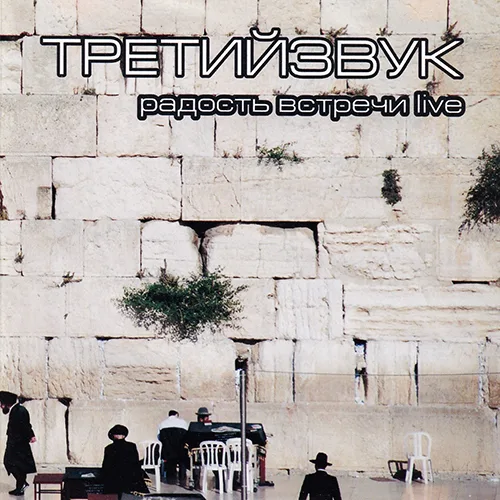 Третий звук — Радость встречи Live (2010)