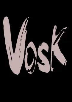 Группа «VOSK»